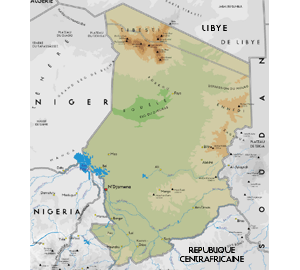 Les opérations extérieures de l'Armée française : Tchad