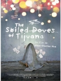 The soiled doves of Tijuana // VOST 