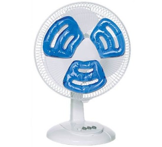 Fête des pères - 19 Juin 2005 - Frosty fan pack, ventilateur glacé !