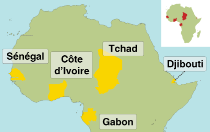Militaires français en Afrique : ces 5 pays où l'armée française est la  plus présente