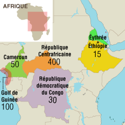 La présence militaire française en Afrique - Guinée, Cameroun, RDC...